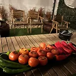 Downtown Hidden Garden With Jacuzzi In *